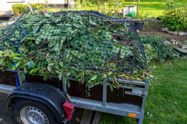 Professional Junk Removal Services in Byers, CO